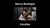 In diesem Kurs lernst du sangliches Spiel. #tuba #tubalernen #brass #blechbläser #musik